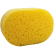 Schwamm zum Auftragen